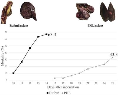 Feed Composition and Isolate of Histomonas meleagridis Alter Horizontal Transmission of Histomonosis in Turkeys. Proof of Concept